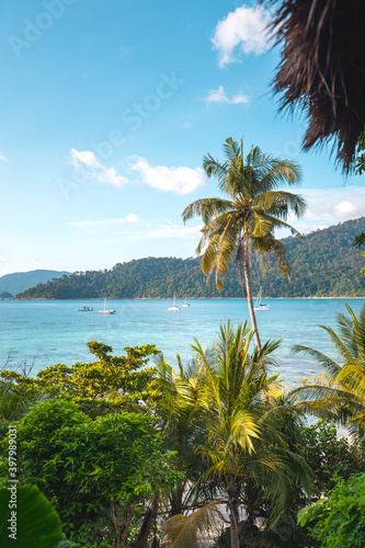 Coconut trees on the island and the blue sea