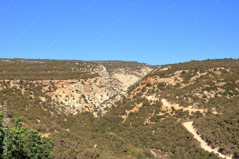 view on Avakas Gorge with steep rocks and river on bottom. Akamas peninsula, Cyprus.