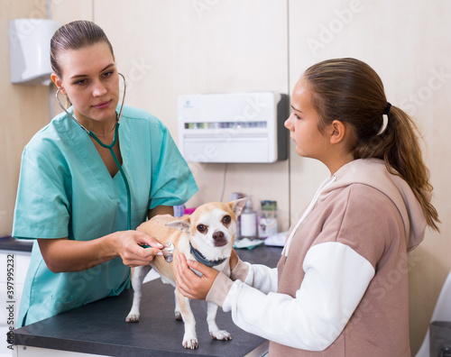 Smiling teenager girl with her puppy visiting veterinarian clinic. High quality photo