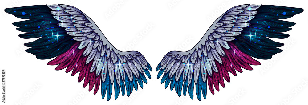 Fototapeta Beautiful magic bright grey magenta blue wings