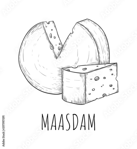 Maasdam cheese dairy product food sketch isolated on white