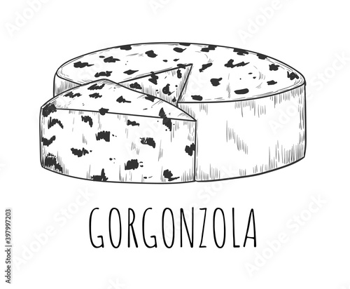 Gorgonzola cheese dairy food with mold sketch isolated