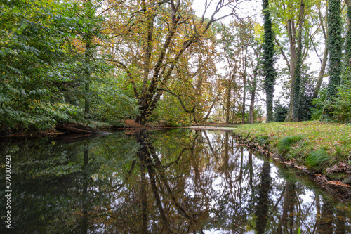 The trees in autumn colors are reflected in the water