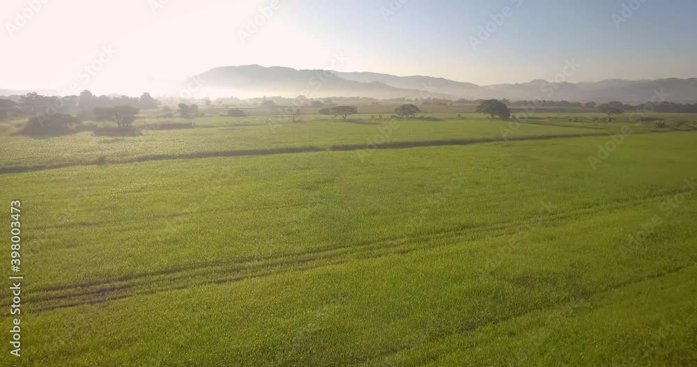 Drone view of a beautiful green pasture field during the sunrise Drone view of a beautiful green pasture field during the sunrise