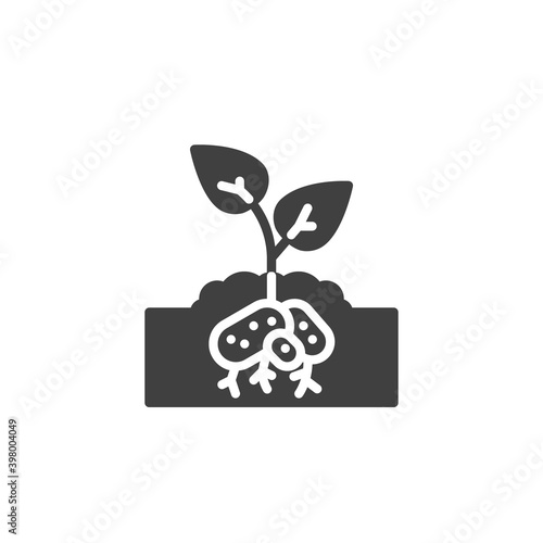Potatoes plant vector icon. filled flat sign for mobile concept and web design. Potatoes growing underground glyph icon. Symbol, logo illustration. Vector graphics