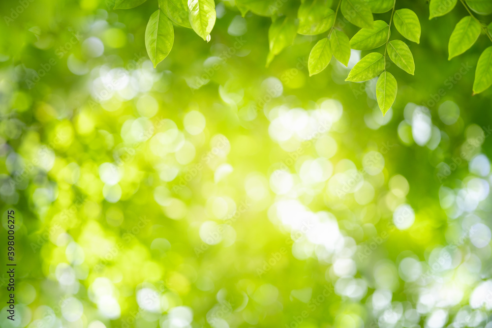 Obraz premium Nature of green leaf in garden at summer. Natural green leaves plants using as spring background cover page greenery environment ecology wallpaper
