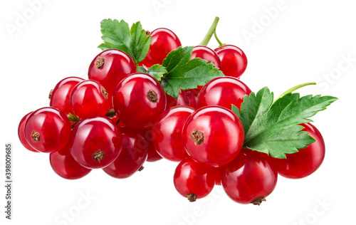 Red currant isolated. Currant red with leaves on white background. Currants on white. Red currant on branch. Clipping path.