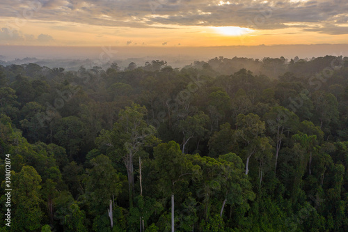 Rainforest ecosystem and healthy environment © Mohd Khairil