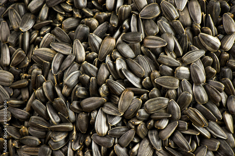 Sunflower seeds close-up and macro background Sunflower seeds close-up and macro background