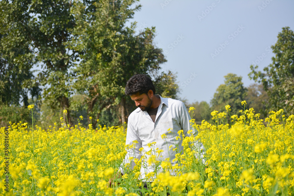 Young indian farmer at black mustard field Young indian farmer at black mustard field