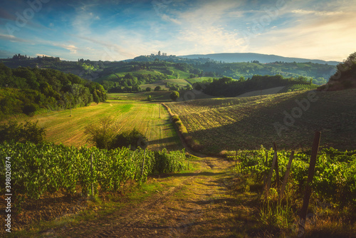 Panoramic view of chianti and vernaccia vineyards. San Gimignano. Tuscany  Italy