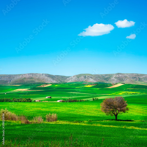 Apulia countryside view rolling hills landscape. Murge Poggiorsini, Italy