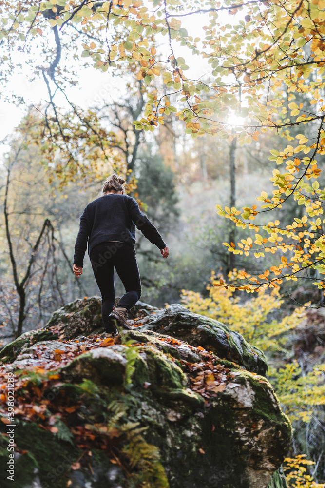 Fototapeta premium Ascension en forêt 