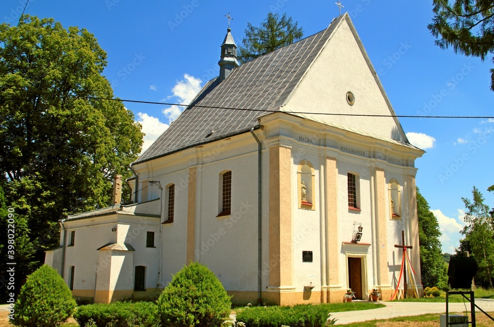 Fototapeta premium Jasień