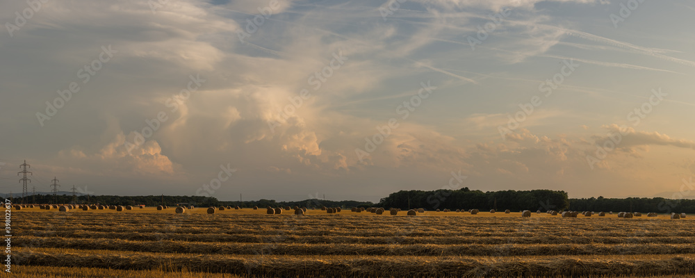 many straw bales on fields with dense clouds on the sky panorama