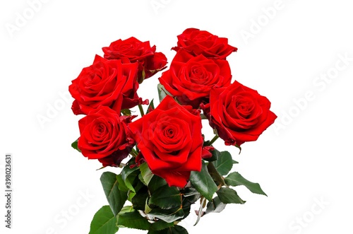 bunch of red roses on white