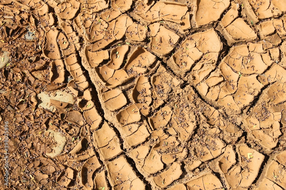 Fototapeta premium Dried earth