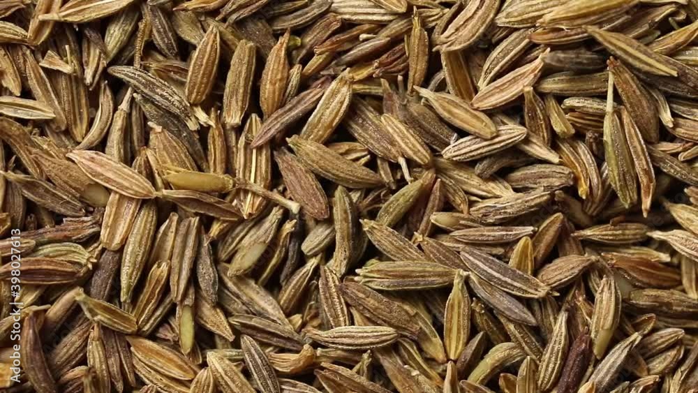 Dried cumin seeds close up full frame Dried cumin seeds close up full frame