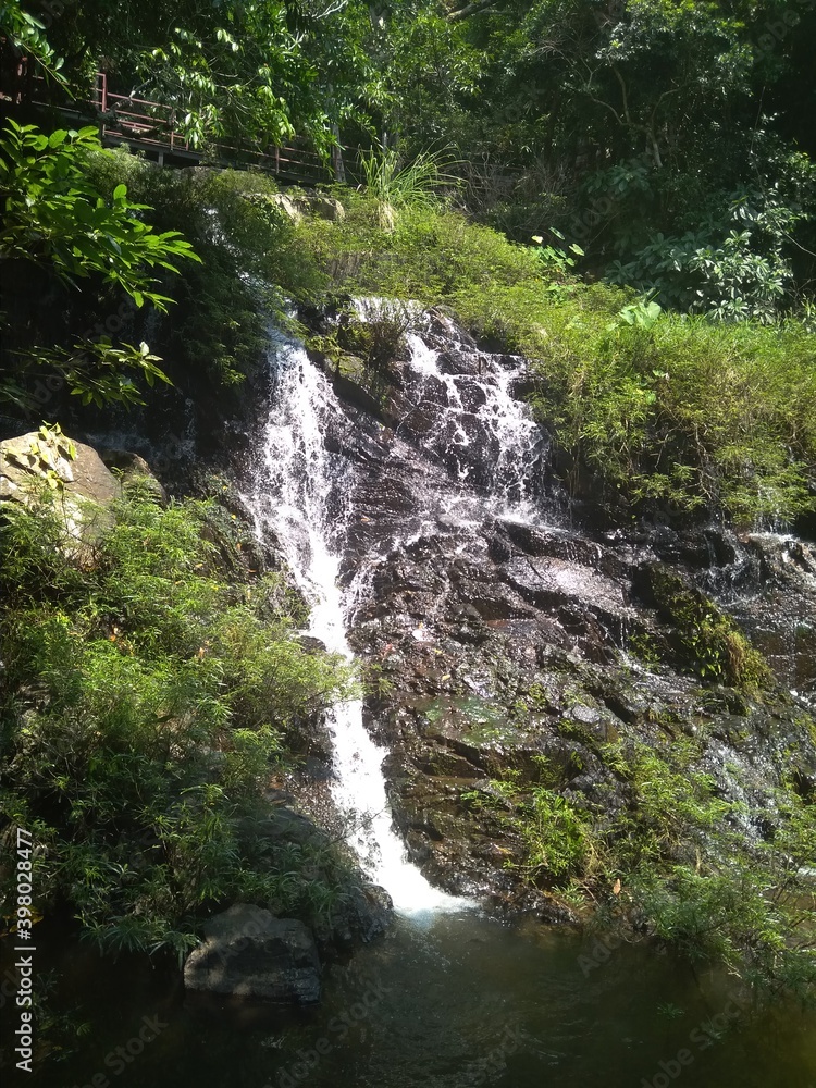 waterfall in the forest waterfall in the forest