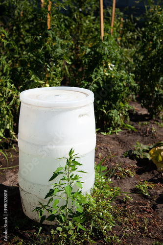 summer time. white plastic barrel for watering plants. garden utensils. Garden watering tool. An open barrel of water in the middle of a green garden. © Екатерина Тимошенко