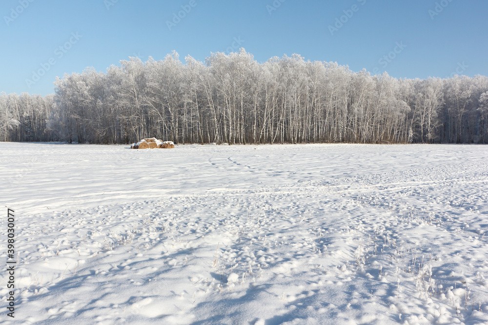 Agricultural field in a winter, Novosibirsk, Russia Agricultural field in a winter, Novosibirsk, Russia