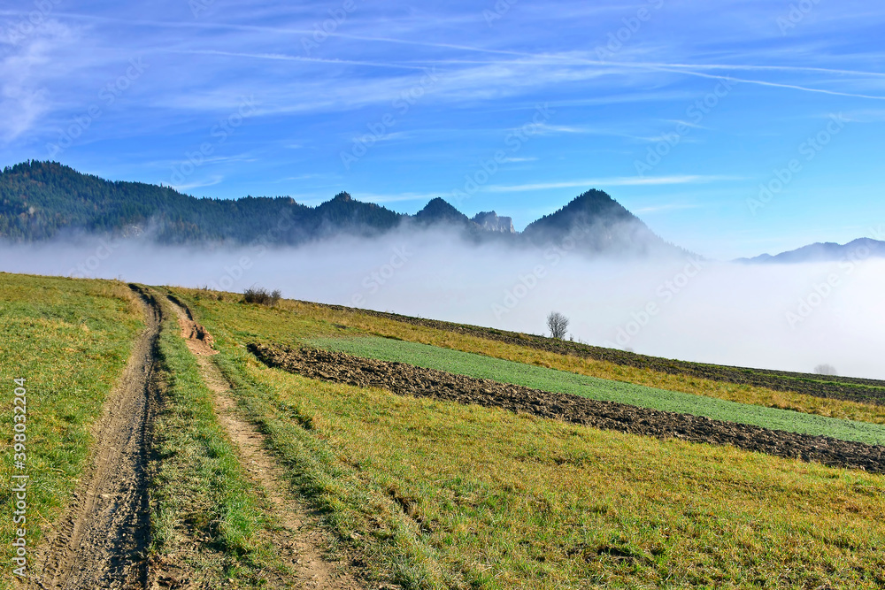 In the early morning , ground road crosses the foggy mountains, Pieniny, Poland