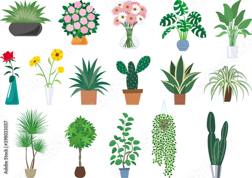 インテリアのアイテムセット　観葉植物と花