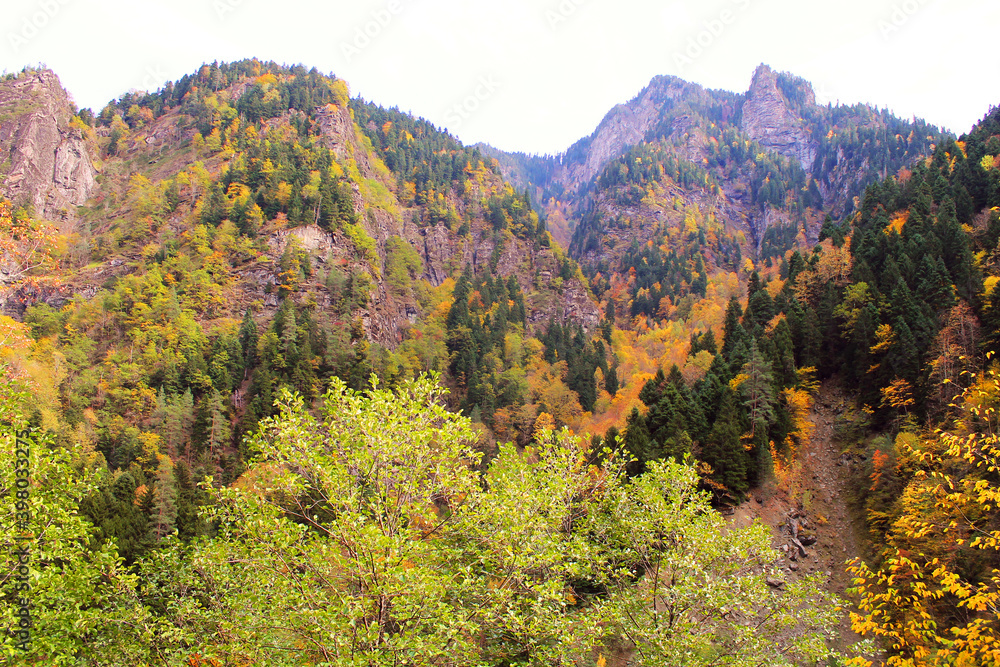 autumn in the mountains