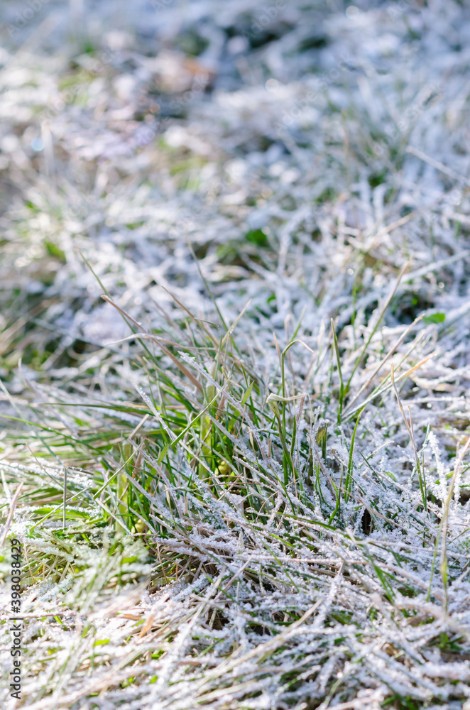 First snow on the ground First snow on the ground