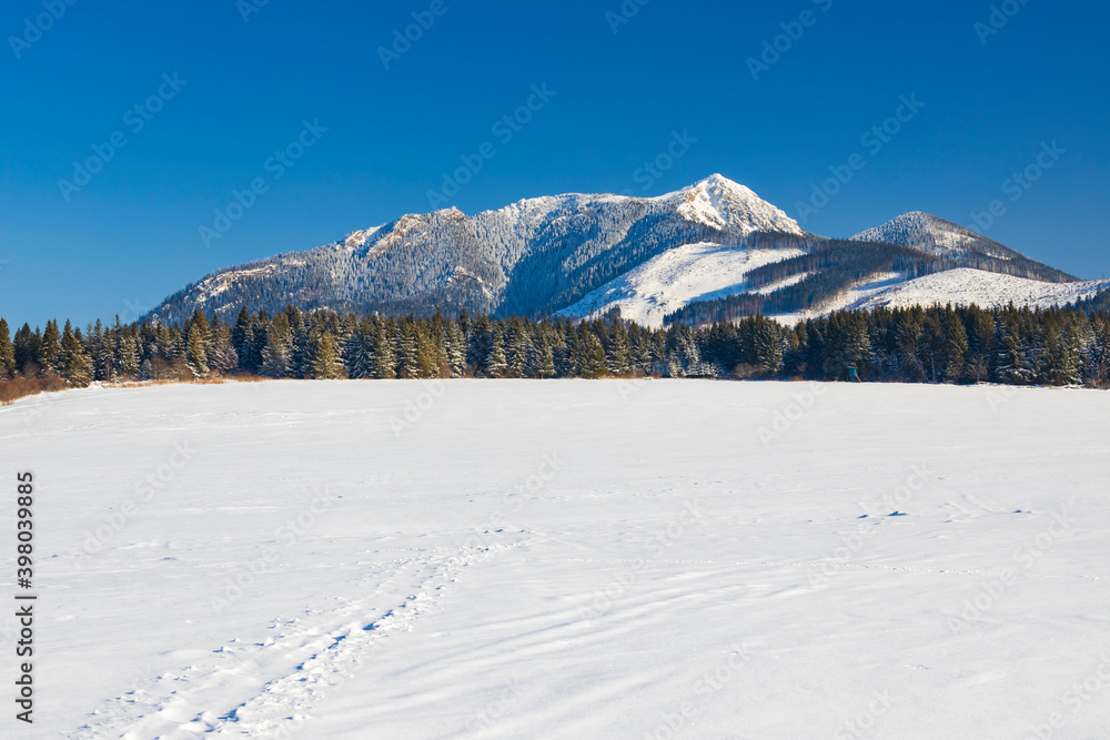 winter landscape nearby Oravice, Western Tatras (Rohace), Slovakia