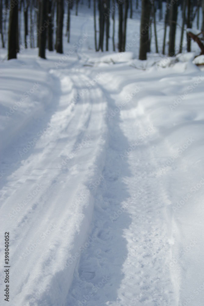 winter track