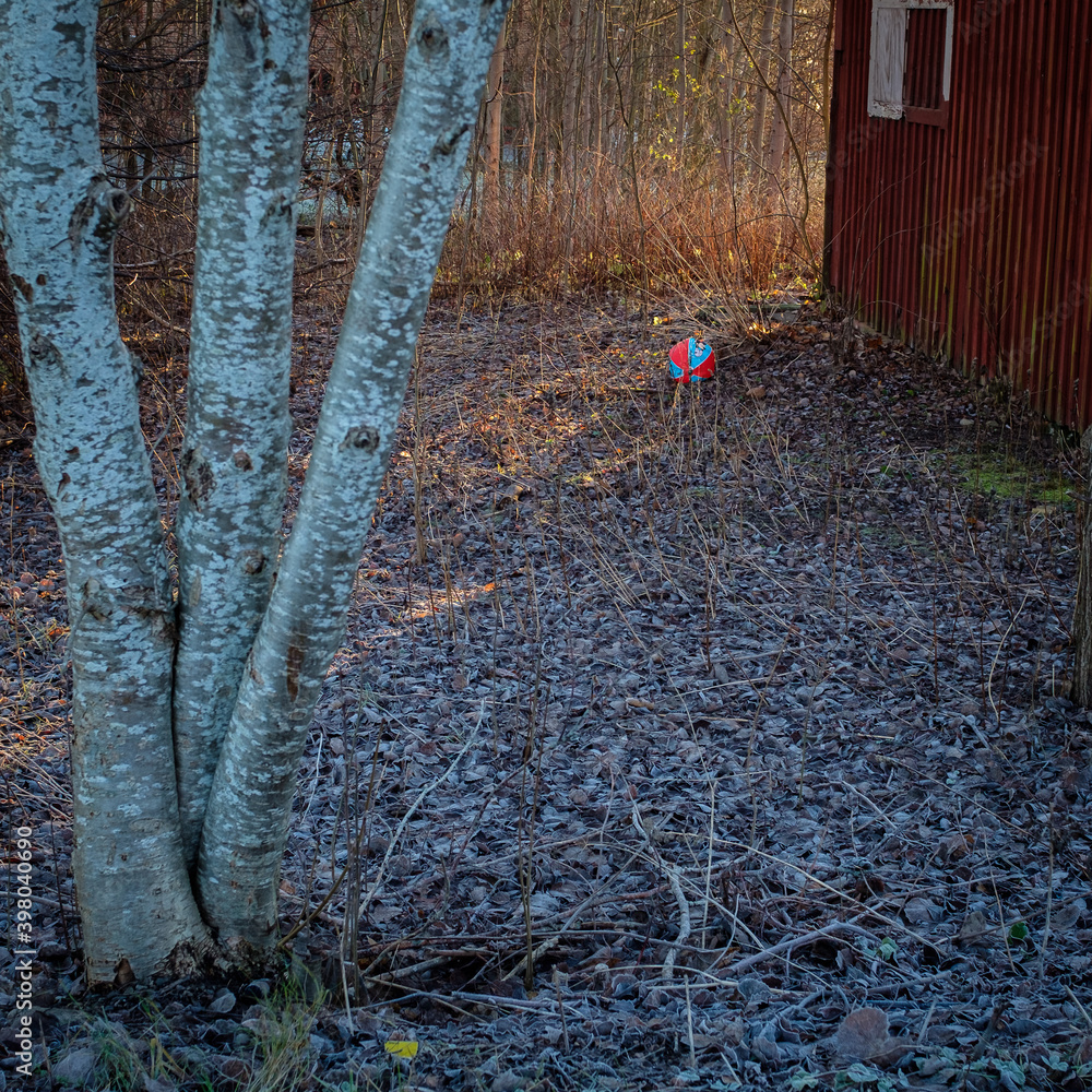 autumn - the ball rolls around the corner of the abandoned house autumn - the ball rolls around the corner of the abandoned house