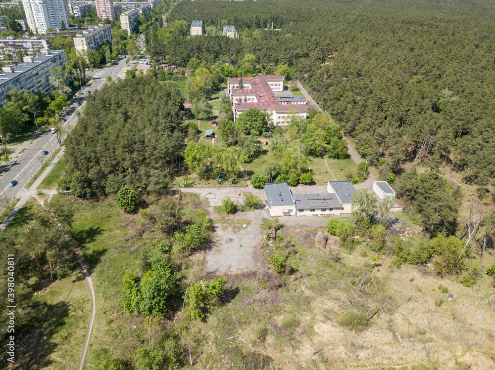 Aerial drone view. Pine forest on the outskirts of the city on a sunny day.