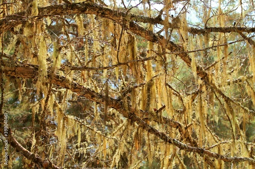 Wallpaper Mural traveling in the magic svaneti Torontodigital.ca