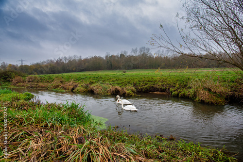 Fotografía Hawley Meadow, Blackwater valley