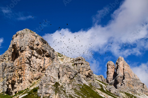 Beautiful Italy's Dolomites region in Italy with birds in summer