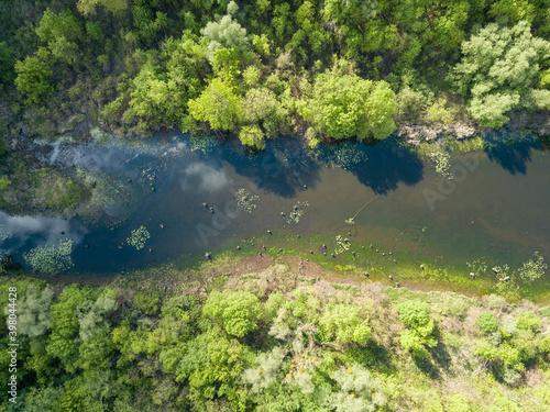 Aerial drone view. Pond in the city.