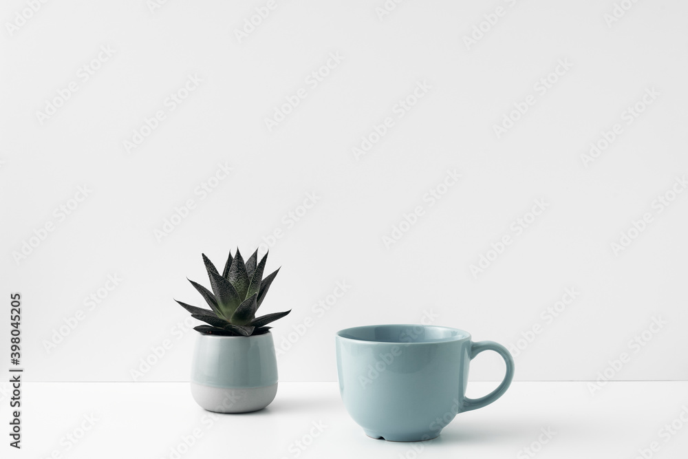 Mug and houseplant in a pot on a white background. Eco-friendly materials in the decor of the room, minimalism. Copy space, mock up. Mug and houseplant in a pot on a white background. Eco-friendly materials in the decor of the room, minimalism. Copy space, mock up.