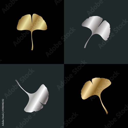 Ginkgo biloba solver and golden leaves