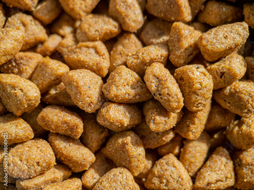 Wallpaper Mural close up macro cat food in cat bowl Torontodigital.ca