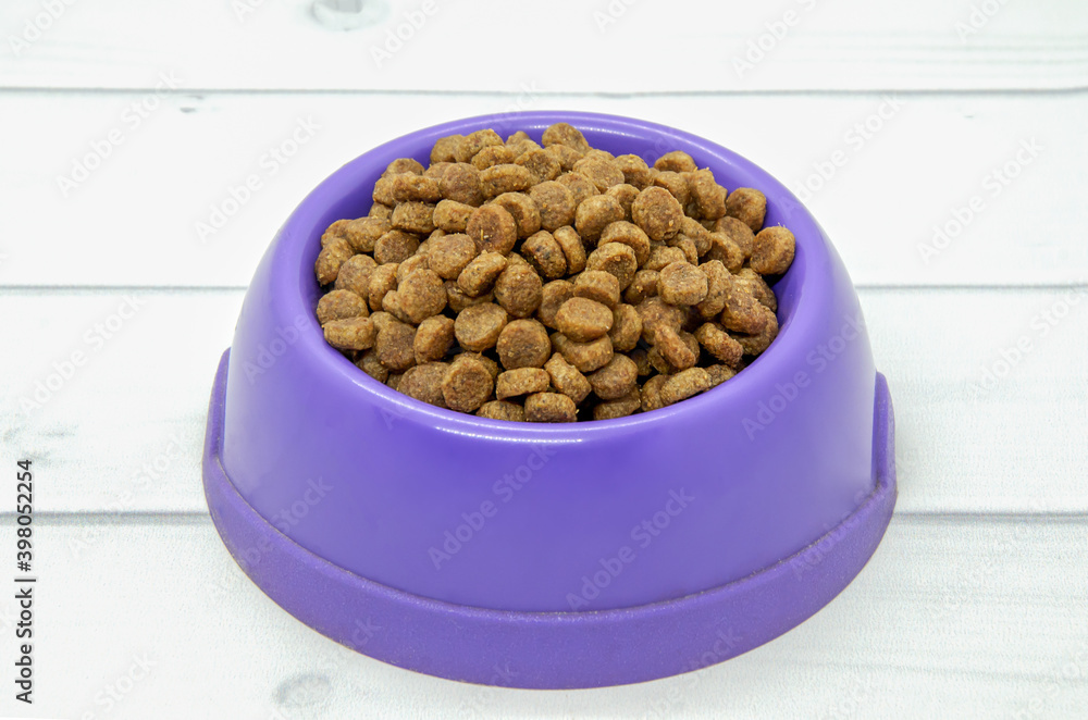 Foto de Dry dog food in plastic purple bowl on light wooden floor