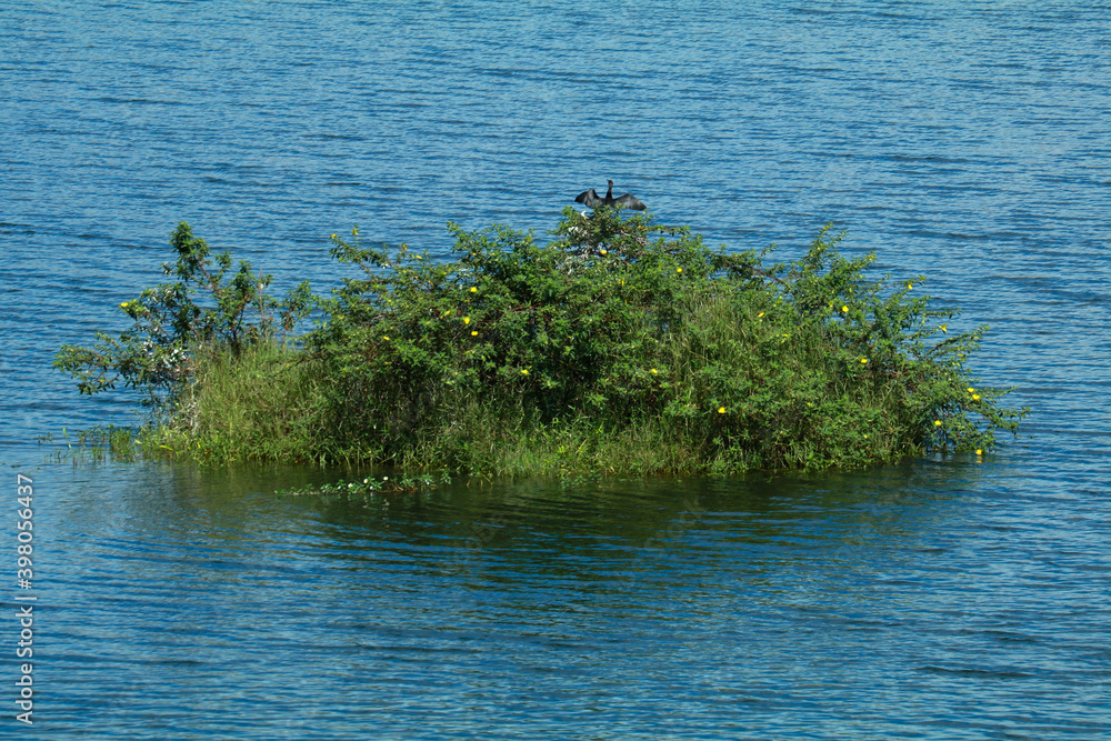 Fototapeta premium Small island formed in a dam reservoir, Karappuzha Dam