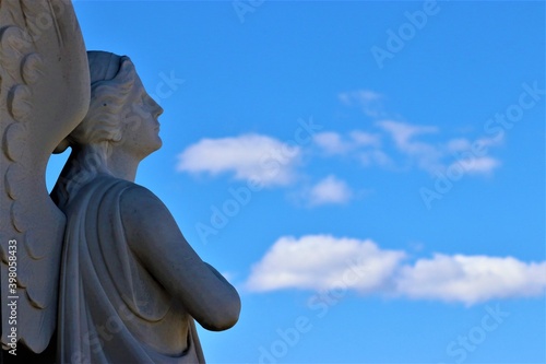 Photography Angel