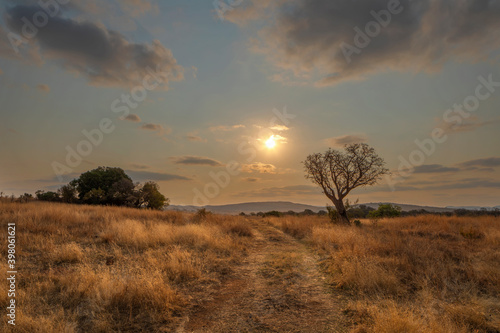 Sun set above dirt road in veld