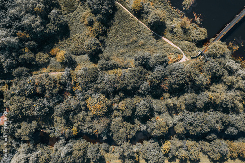 Top-down aerial view over Irish forest  in County Clare, Ireland