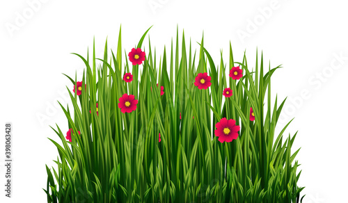 Green Fresh Grass with Flowers and Herb Isolated on Transparent Background. Vector Illustration. 