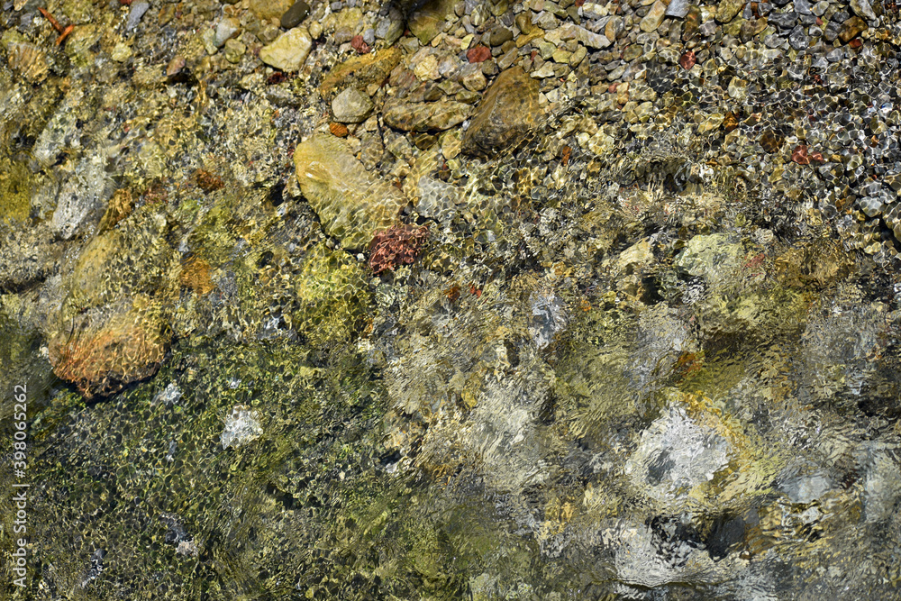 Clean water in a tatra mountains stream Clean water in a tatra mountains stream
