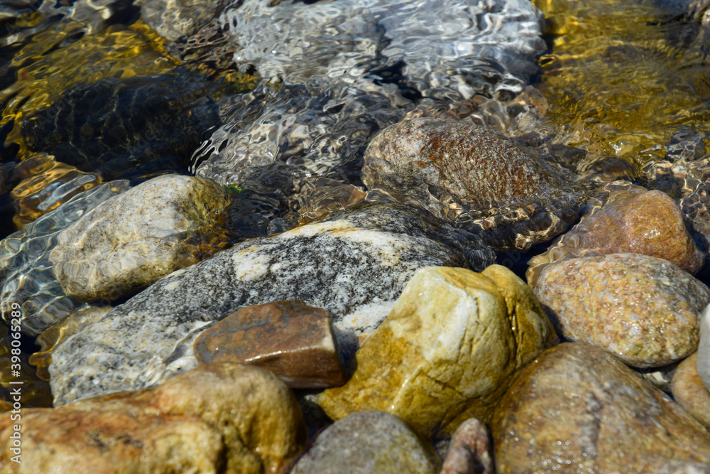 Fototapeta premium Clean water in a tatra mountains stream