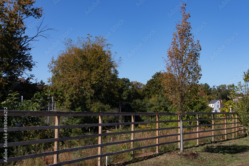 Fence along the Shore of the Rippowam River in Stamford Connecticut during Autumn