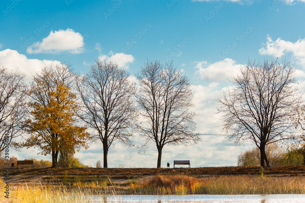 autumn landscape of rates, trees and in the distance blue sky with white clouds autumn landscape of rates, trees and in the distance blue sky with white clouds
